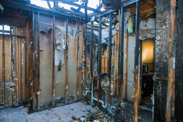 Professional Odor Removal technician working in Beverly, NJ