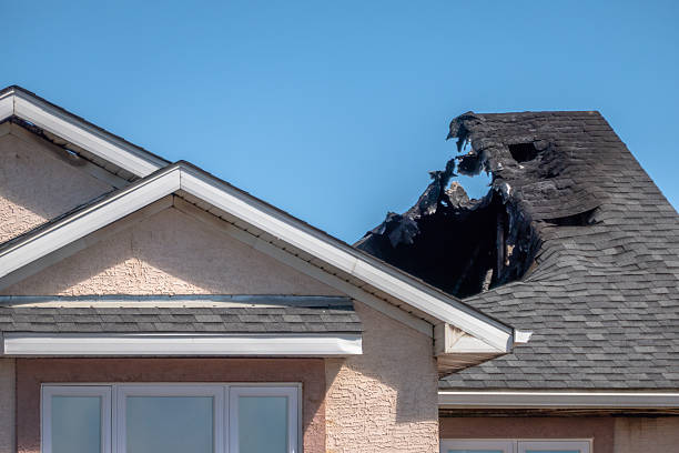 Top rated local Odor Removal specialists in Beverly, NJ